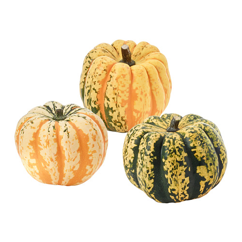 CUCURBITA декоративная тыква