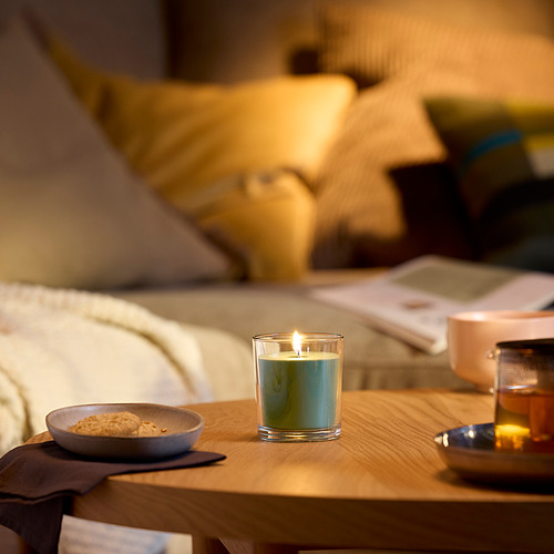 LOTSFÅGEL, scented candle in glass