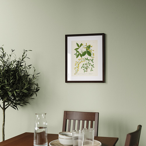 KLOTKÖRSBÄR, frame