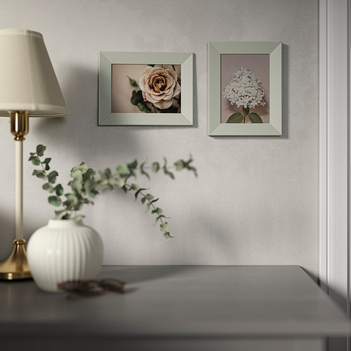 PLOMMONTRÄD, frame