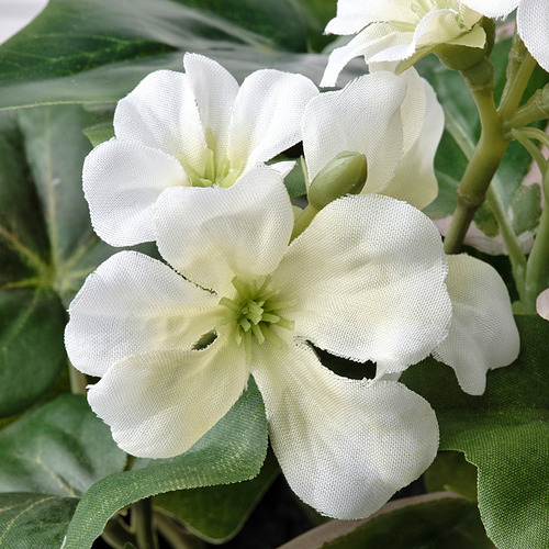 FEJKA artificial potted plant in/outdoor arrangement 12 cm IKEA Eesti