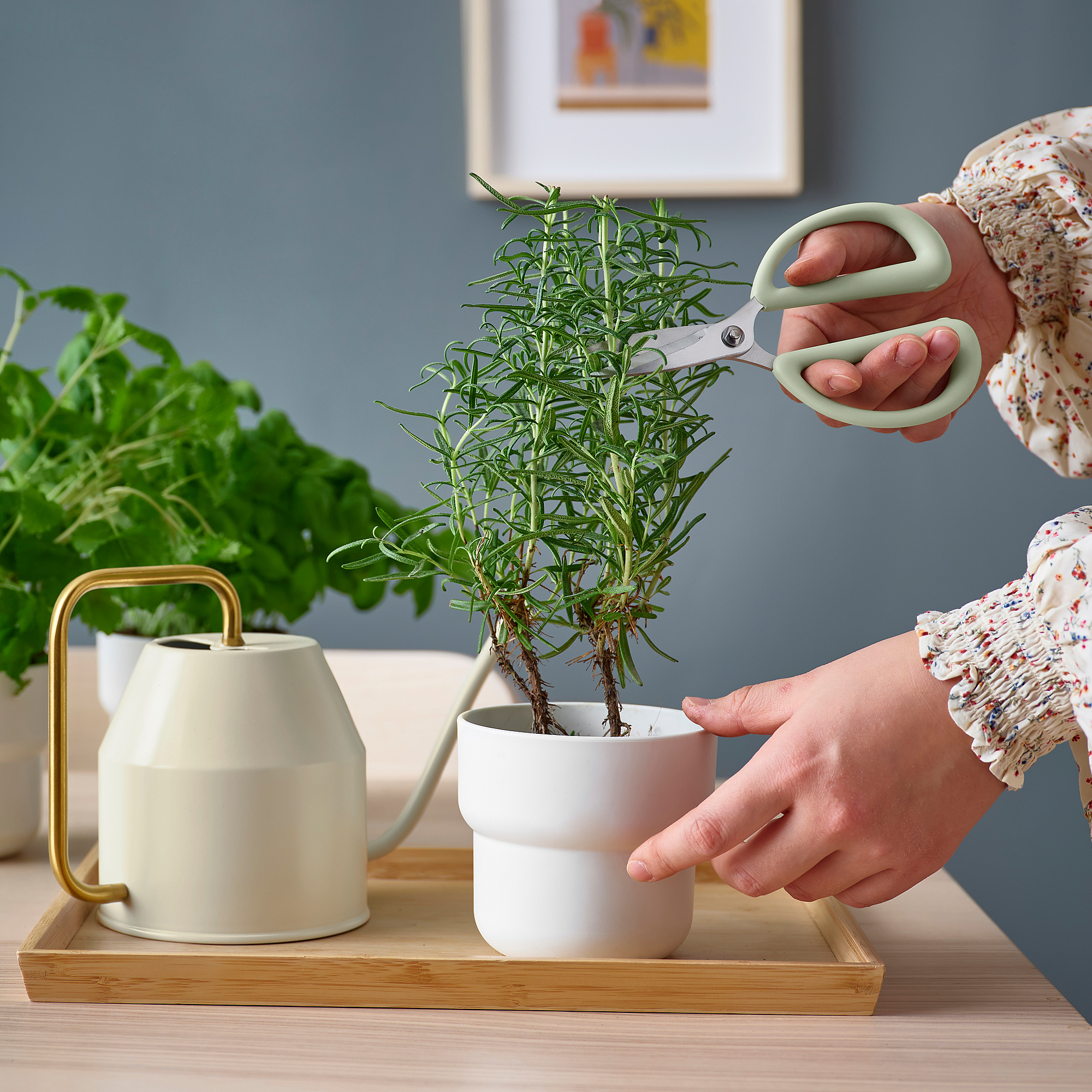 BRYTBÖNA herb scissors light green IKEA Latvija