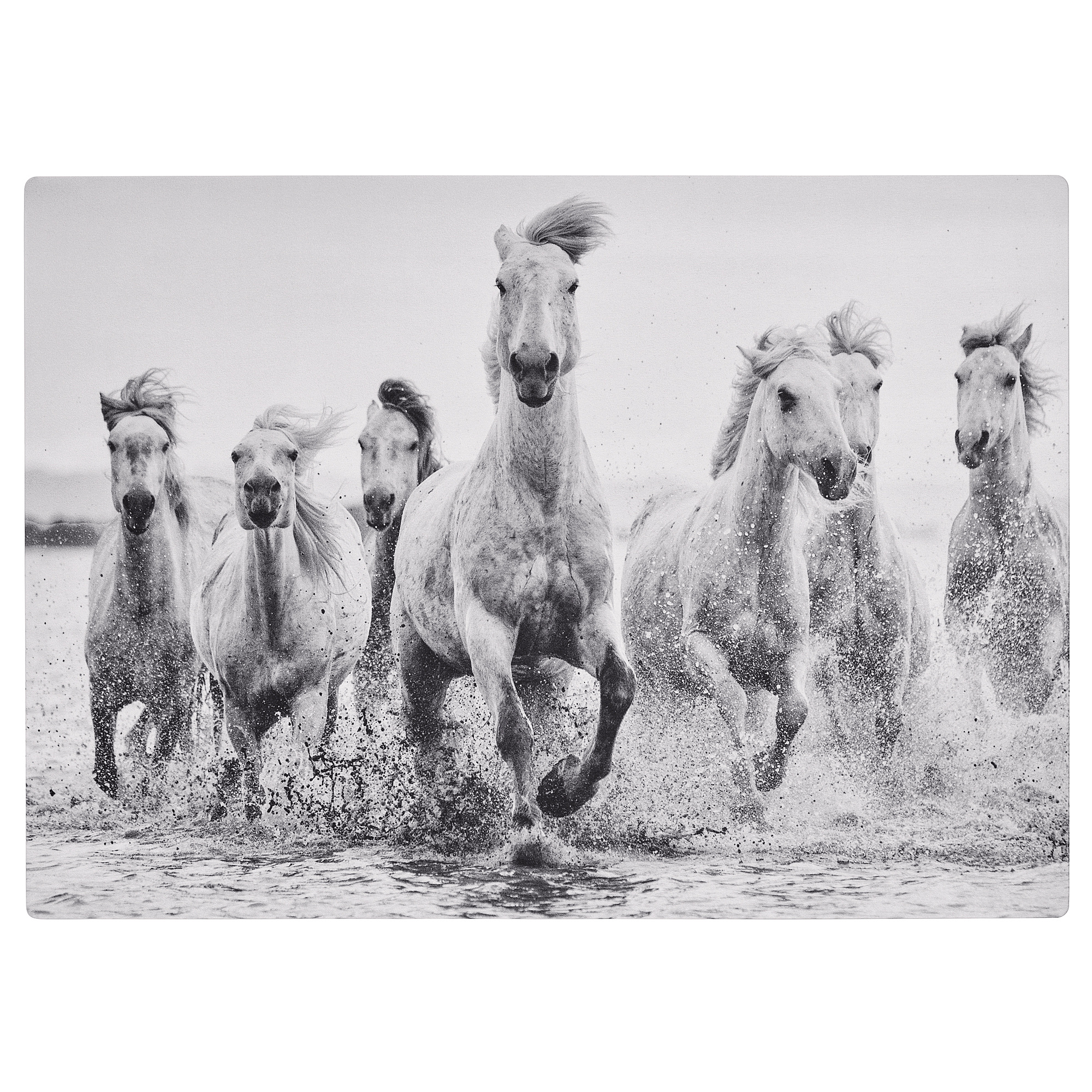 SYMFONISK panel for picture frame speaker spirited splashing IKEA Lietuva