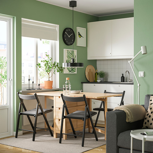 NORDEN/FRÖSVI, table and 4 chairs