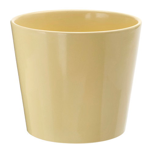 SOJABÖNA, puķupods