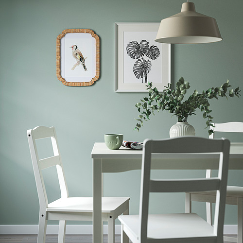 TRIVIALSKOG, rėmelis