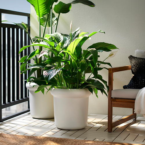 MÅBÄRSBUSKE, горшок цветочный