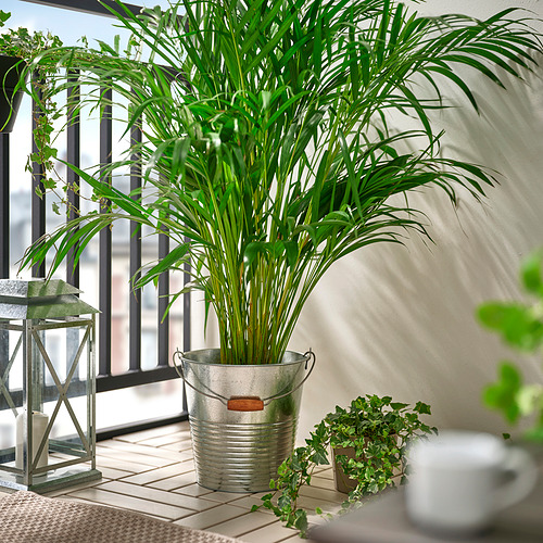 KORKGRAN, kibiras-vazonas