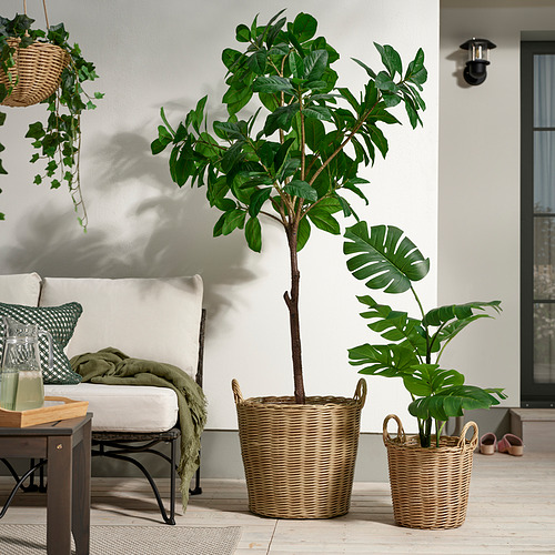 FLODBJÖRK, puķupods