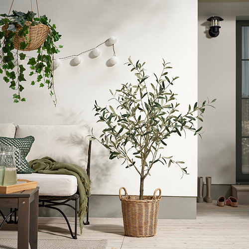 FLODBJÖRK, puķupods