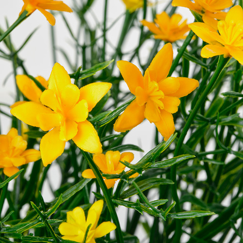 FEJKA, kunsttaim potis