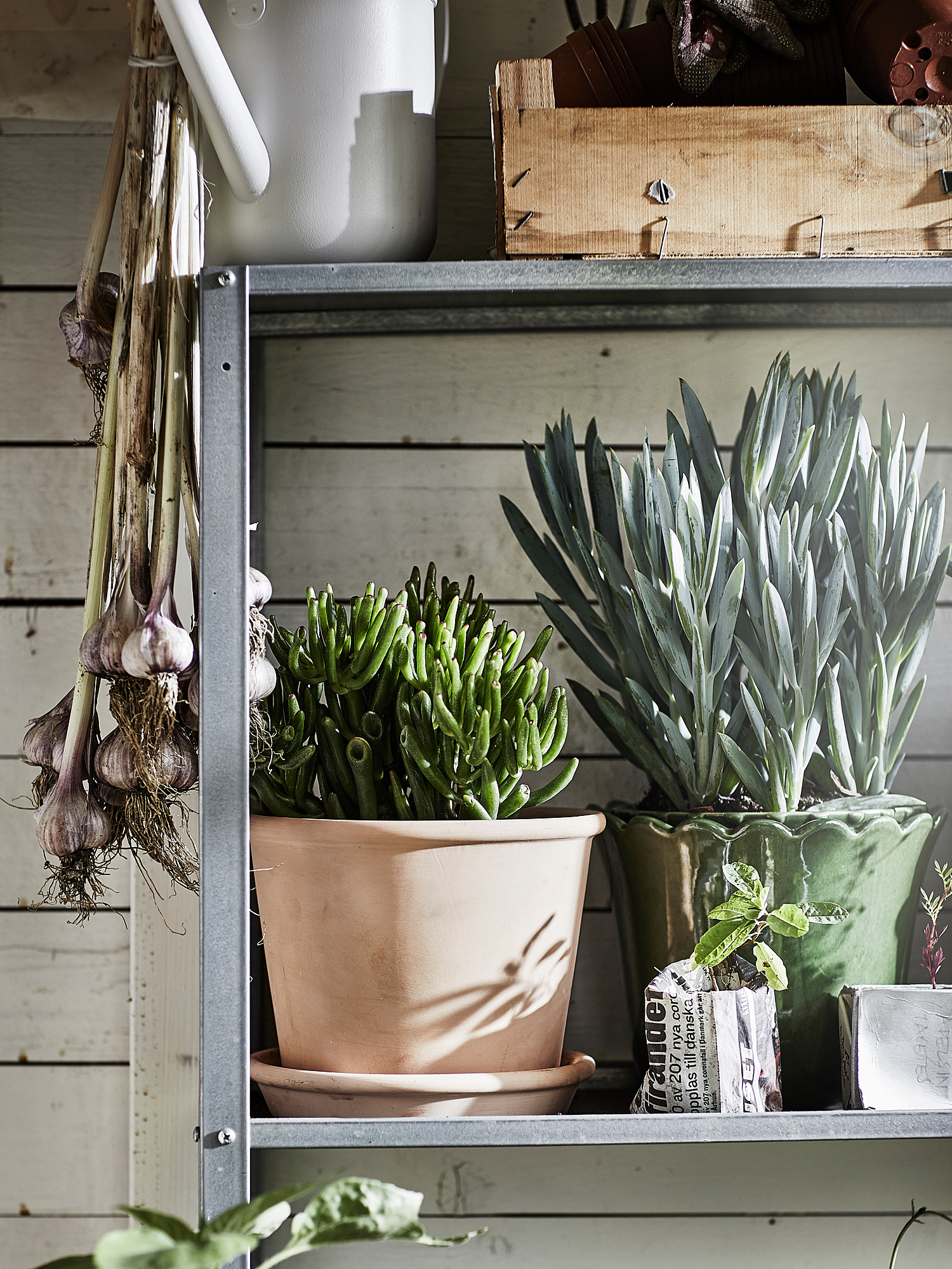 MUSKOTBLOMMA plant pot with saucer in/outdoor terracotta 15 cm IKEA