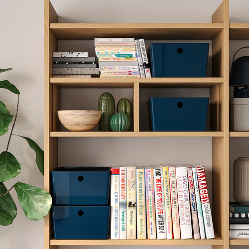 KUGGIS, kaanega kast