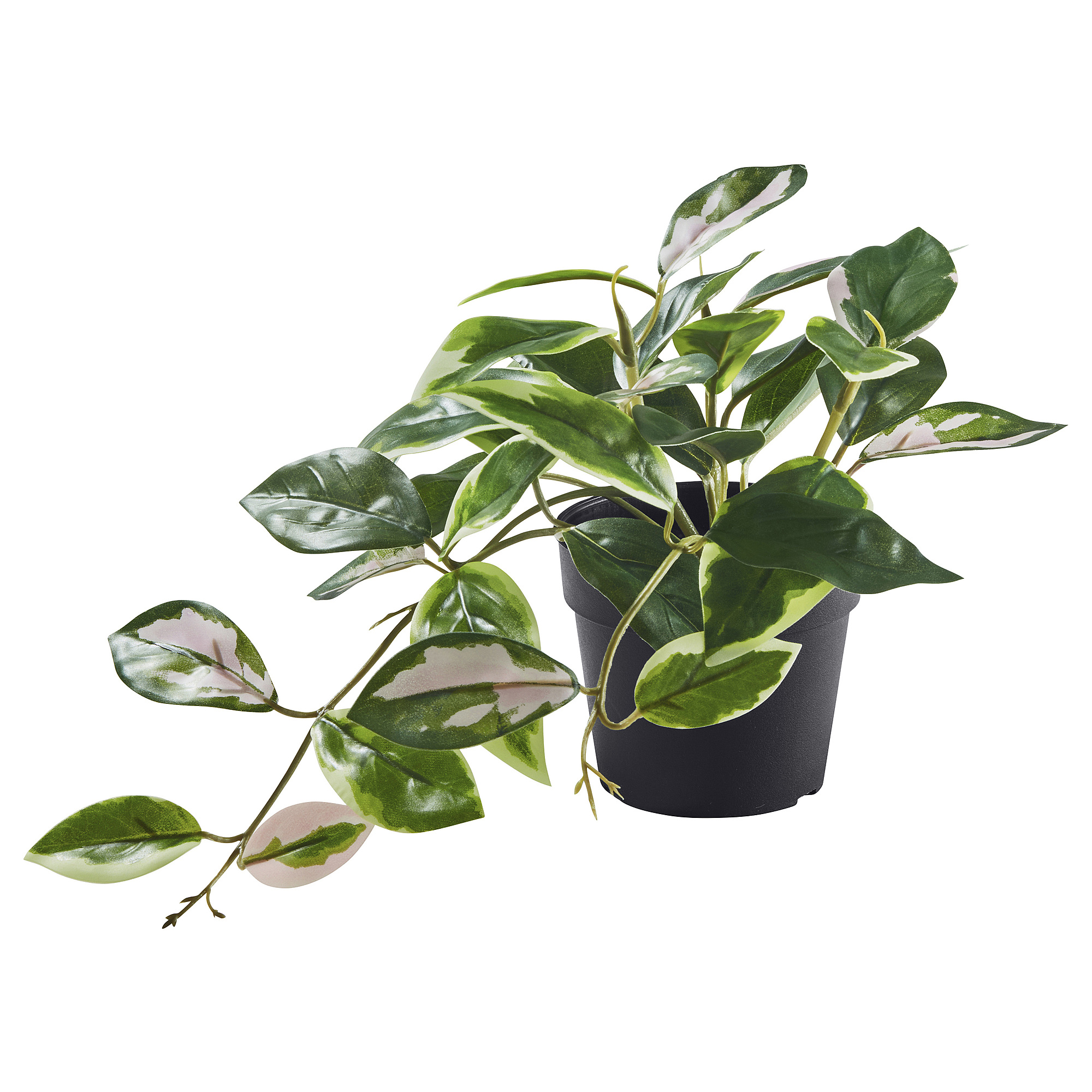 FEJKA artificial potted plant in/outdoor/Wax plant hanging