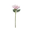 In/outdoor/dahlia pink