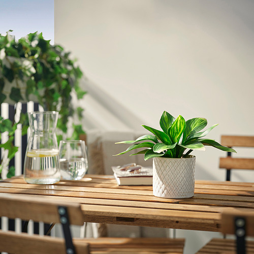 FEJKA, kunsttaim potis