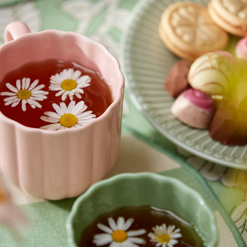 SMÖRFISK, кружка