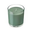 LOTSFÅGEL scented candle in glass