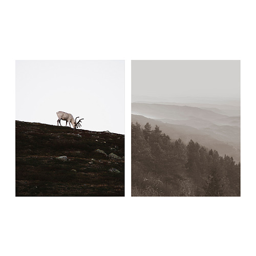 PJÄTTERYD картина