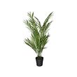 FEJKA artificial potted plant