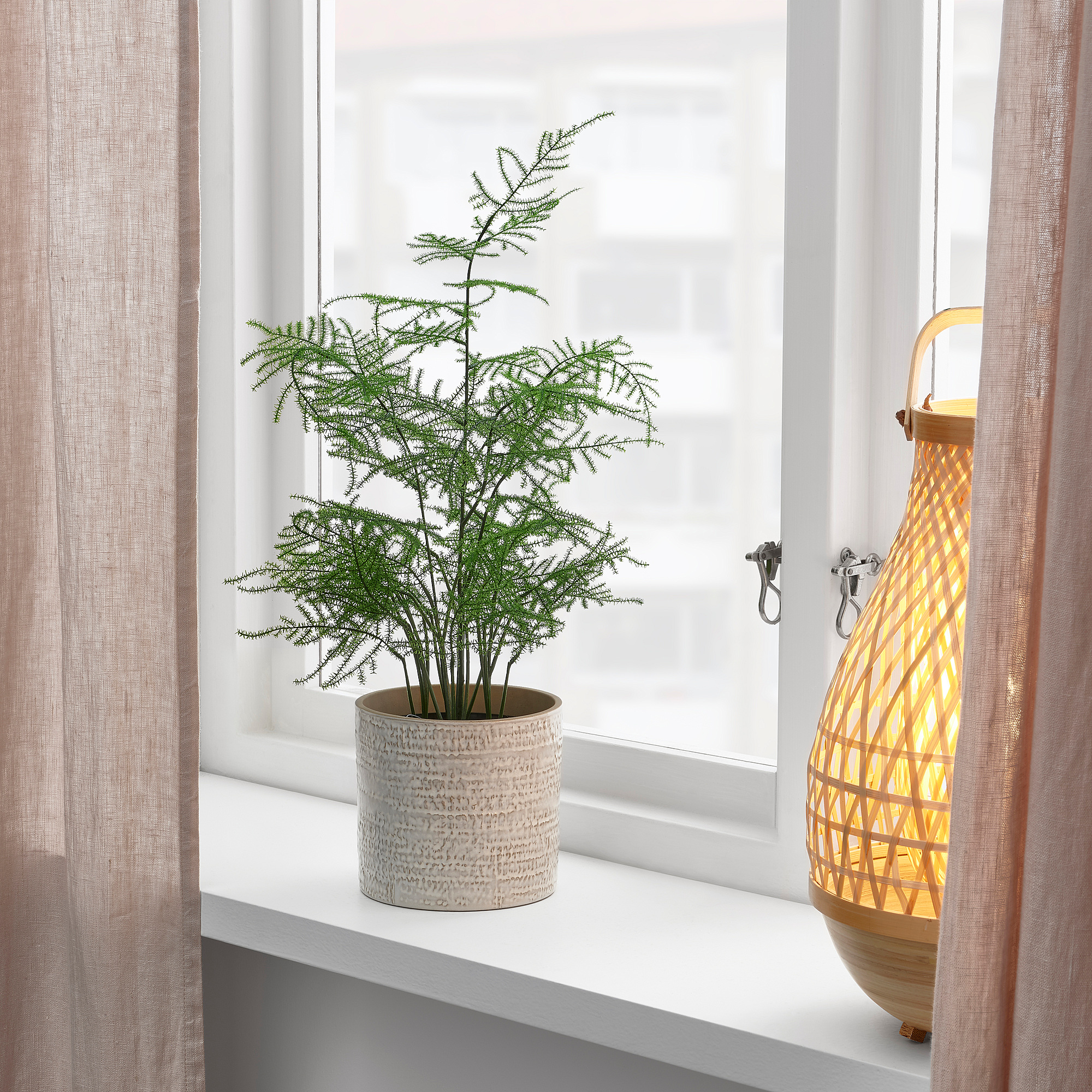 FEJKA искусственное растение в горшке 12 см | IKEA Latvija