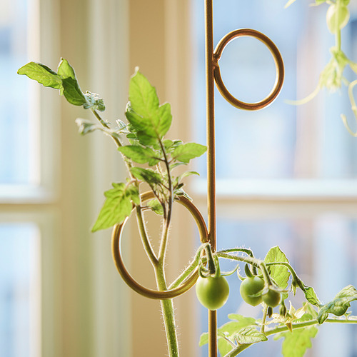 DOFTRIPS, plant support set of 2