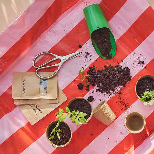 BRYTBÖNA, žirklės