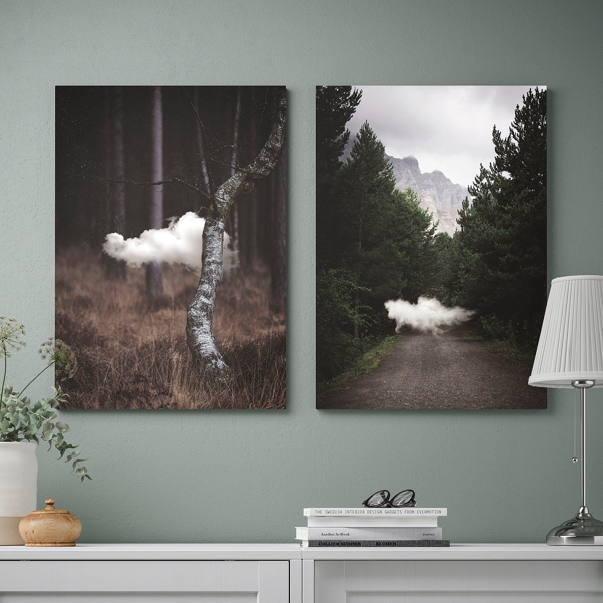 PJÄTTERYD picture lowflying cloud 50x70 cm IKEA Latvija