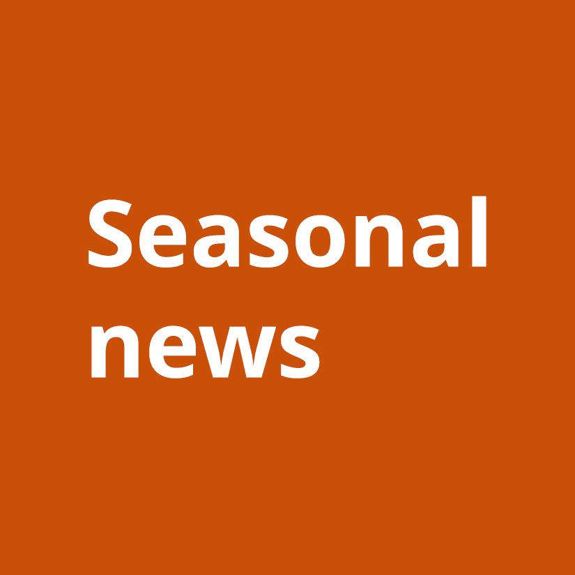 There's always something new! image 1