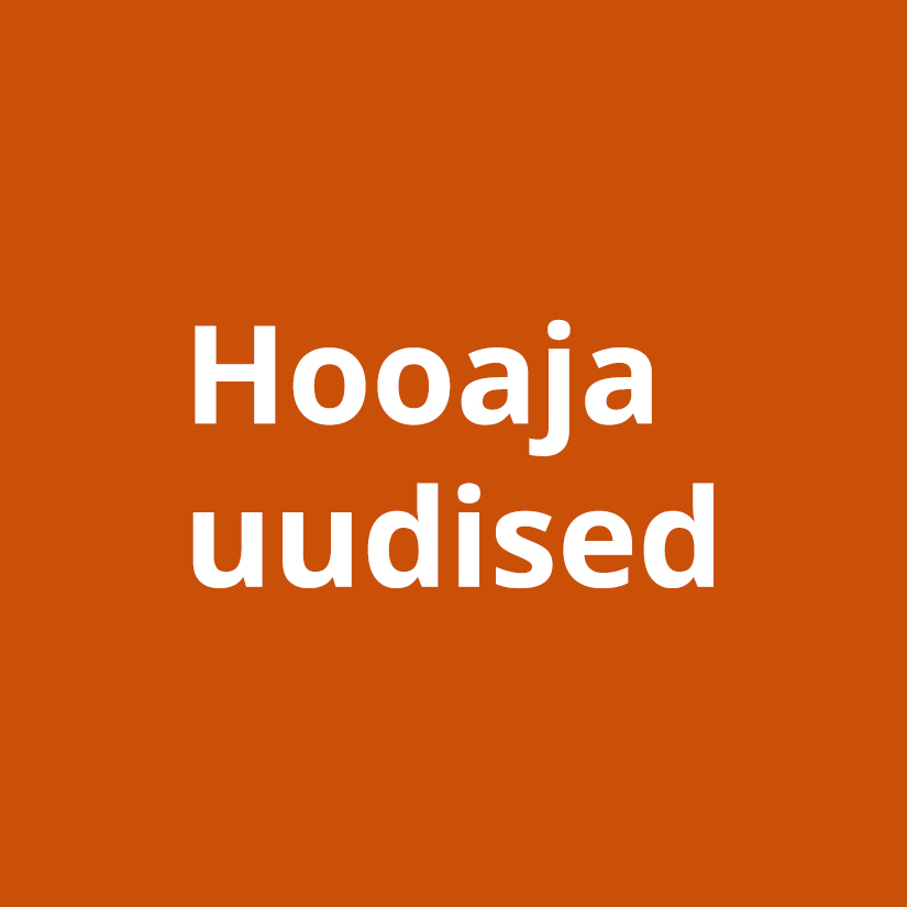 Meilt leiad alati midagi uut! image 1
