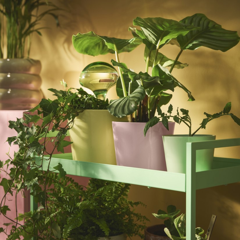 Декоративные аксессуары image 1