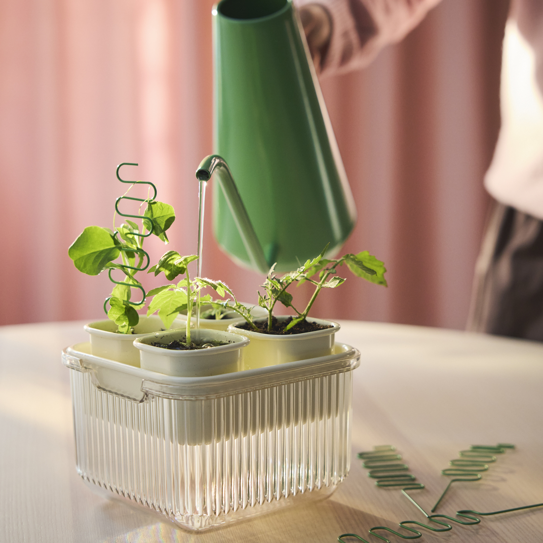 Открываем двери для весны с коллекцией DOFTRIPS image 1