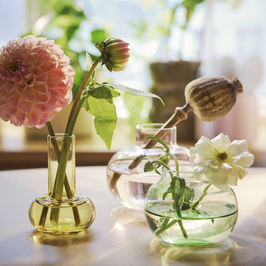 Открываем двери для весны с коллекцией DOFTRIPS image 1