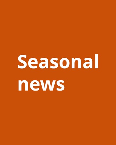 An orange square with white overlay text: Seasonal news.